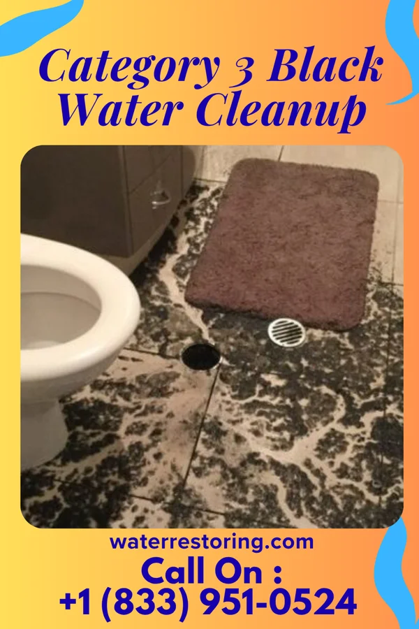 Category 3 Black Water Cleanup in Sylvania, OH