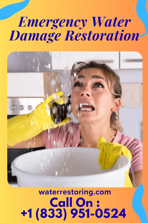 Emergency Water Damage Restoration in Sylvania, OH