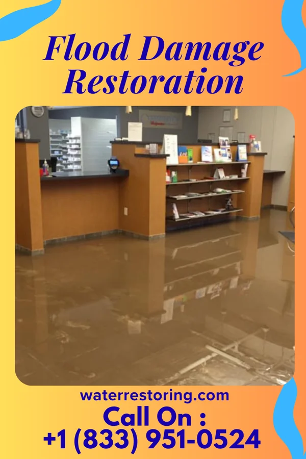 Flood Damage Restoration in Sylvania, OH
