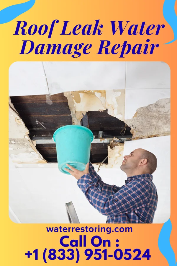 Roof Leak Water Damage Repair in Sylvania, OH