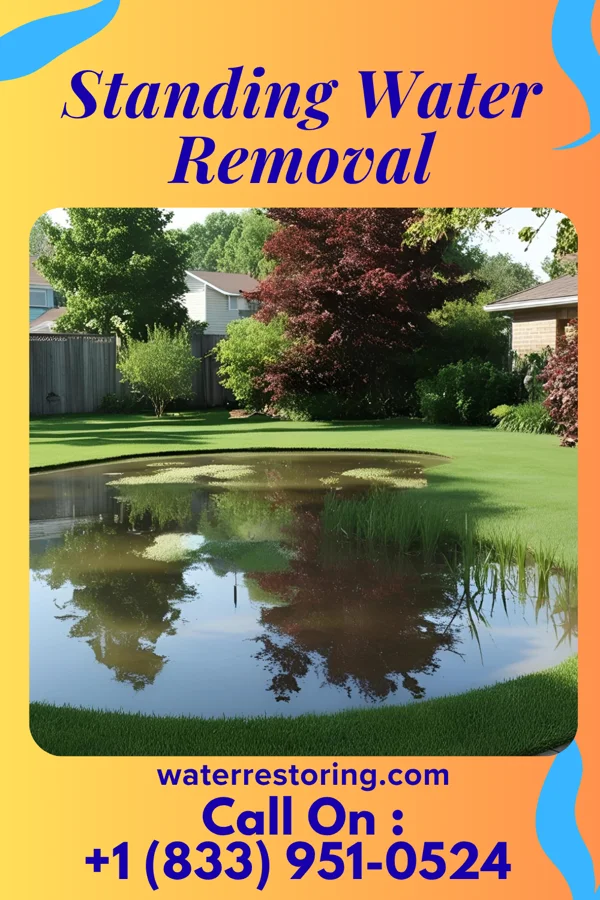 Standing Water Removal in Sylvania, OH